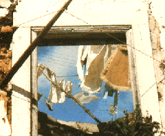 [ilustração: Irene Buarque. Lisboa (janela). Postal.
]