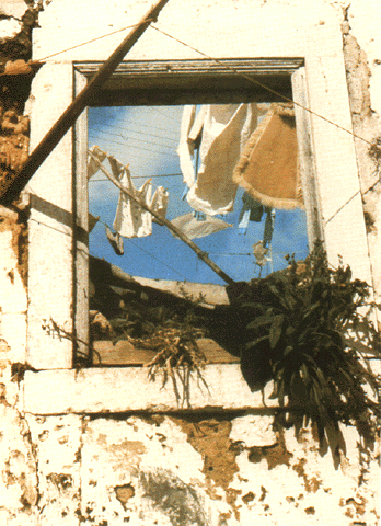 Irene Buarque. Lisboa (janela). Postal.
