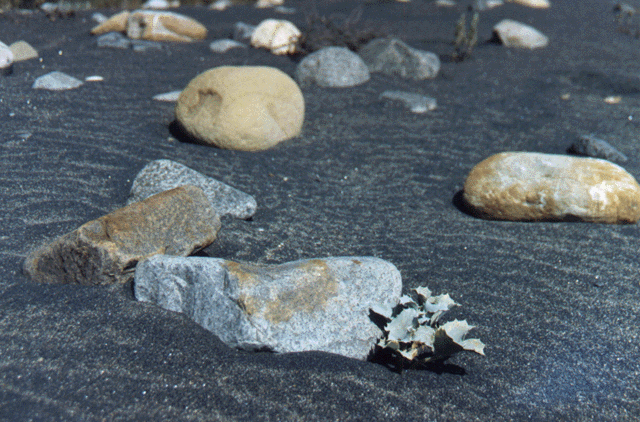 Pedras. Foto L.A.
